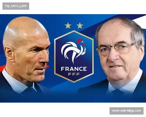 法国足协考虑调整VAR使用标准，减少比赛中断时间